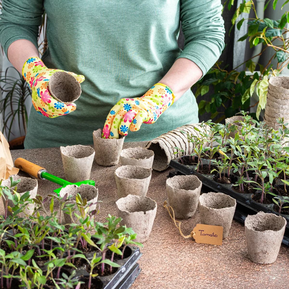 Outdoor & Garden