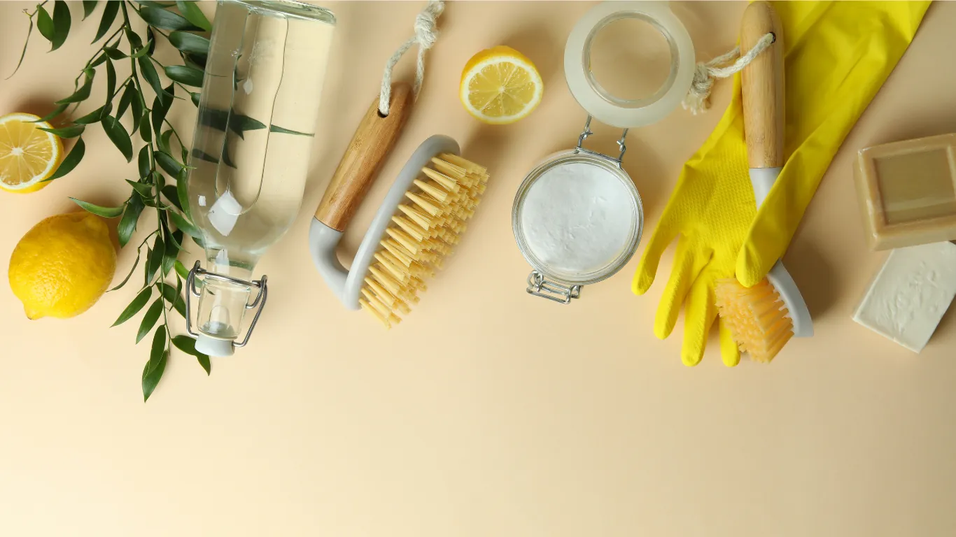 Non-toxic home essentials